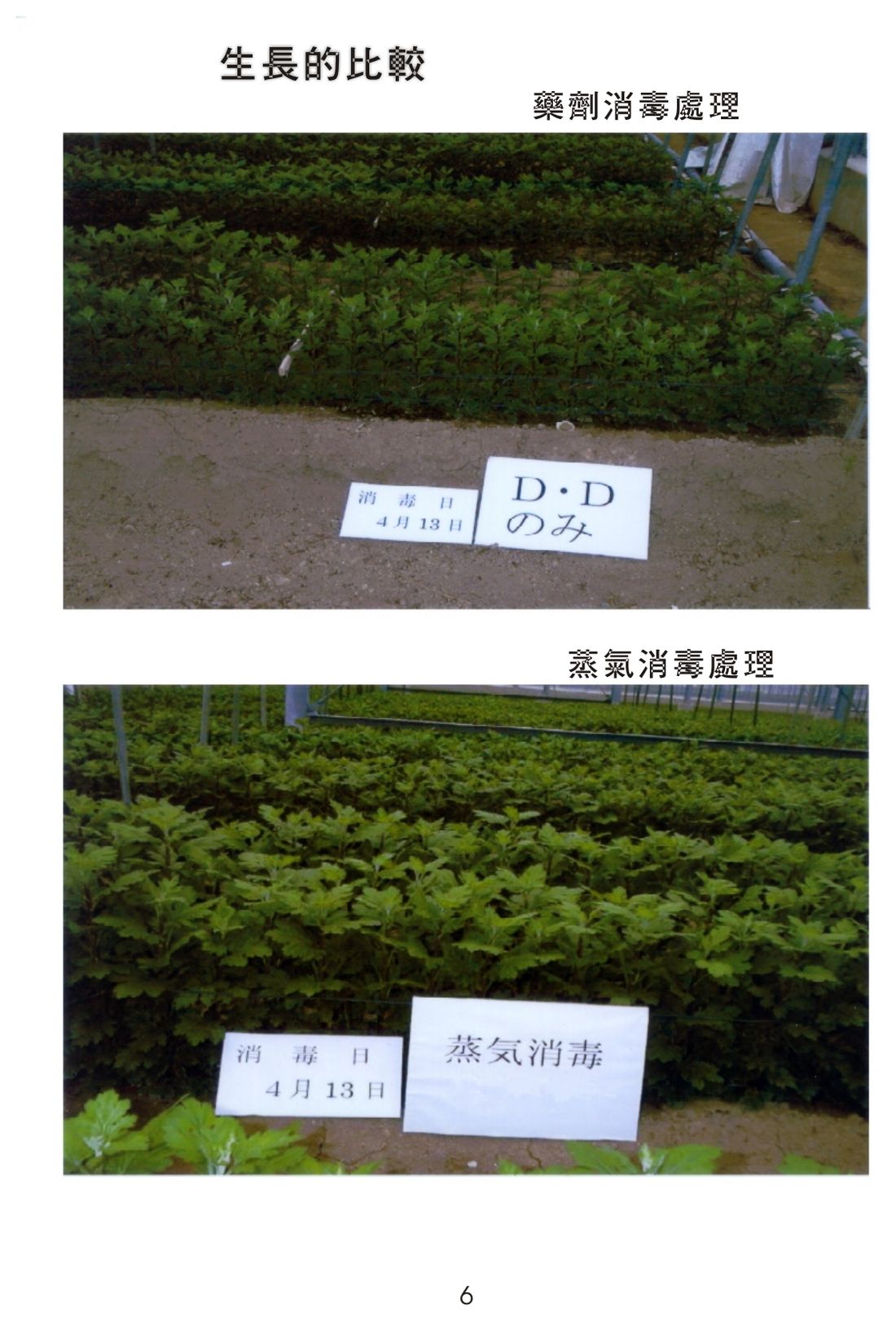 Growth: top D-D fumigant, bottom steam