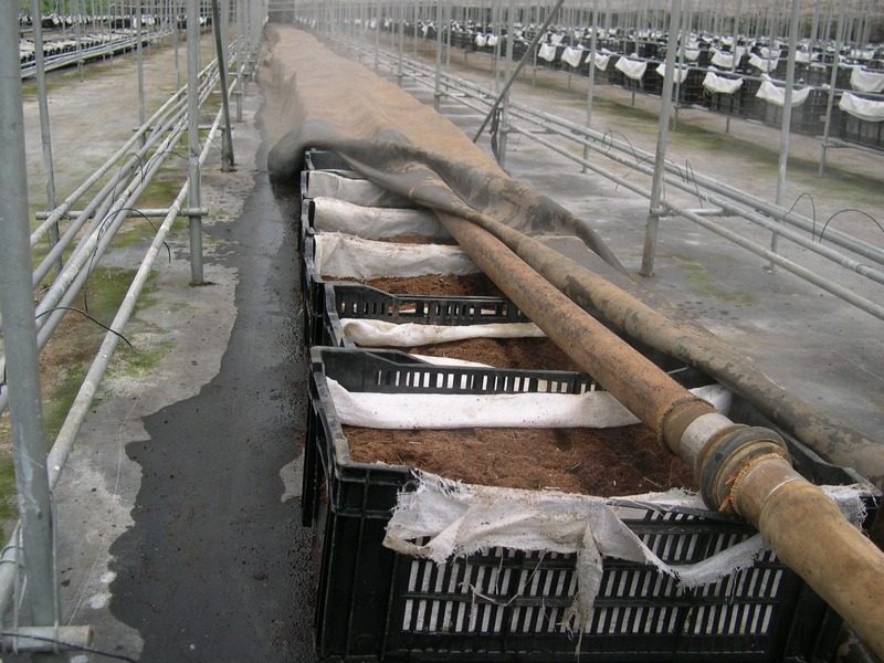 Media in crates (Xinyi area)